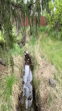 Must Watch Video