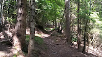 Valdaier DH/Trail