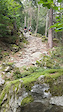 example of typical trail condition