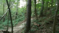 Must Watch Video