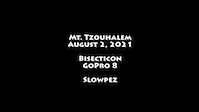 210802 Bisecticon