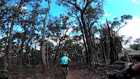 Smiths Gully - Aug 2021