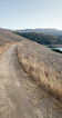 Oak Cove Trail View