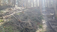 Rybkas corner part