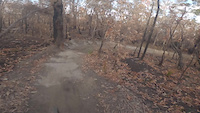 Clipped a tree with handlebar