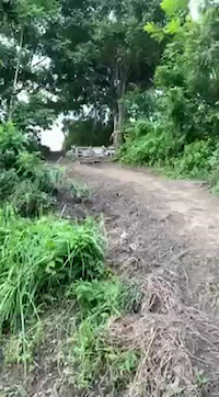 Must Watch Video