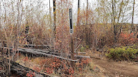 Jekyll at crawford trails