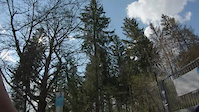 FullsendTV on Uetliberg