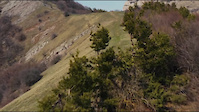 Some home trail...