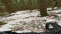 Winter Run