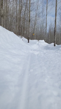 Send It Final Drop - In the Snow