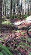 Berm and jump