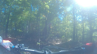 Trace Ridge Trail - N. Mills River, NC.