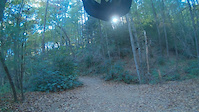 Lower Black Trail Pisgah