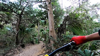 Fall and rider and bike in Swamp