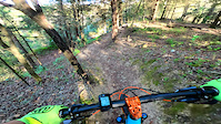 Nipped tree resulting in fall of hill