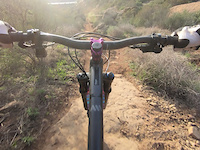 Dirty Bird Crash