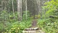Soggy Cranbrook Sends