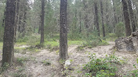 Southpark Big Road Gap