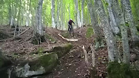Lello G. Vertical