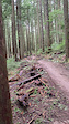 Must Watch Video