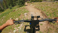 Into The Baby Tree