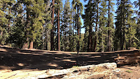 Cannell Trail jump