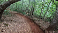 Makawao Forest Reserve Mountain