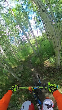 Trek Ticket S on DH trail and Step Up