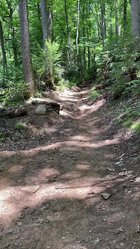 Avery Creek Fail