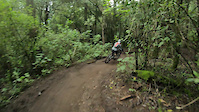 Small root = funny crash