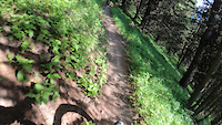 Crash on Mount 7 - Summit Trail