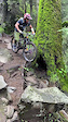 Steep technical section in Pablo's Honey trail