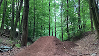 Trail Dog Session