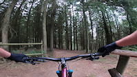 Bit of a dryer Bringewood