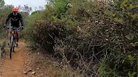 La Víbora