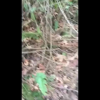 Must Watch Video