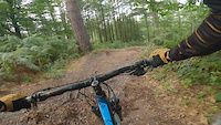 Stile cop ridge run crash