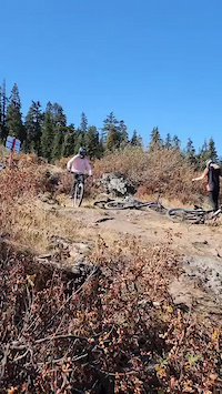 Into the bushes and flat on a berm