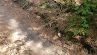 One of many berms on this trail