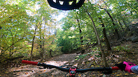 Chill Run on Lower Coon Hollow