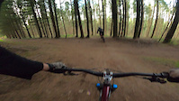 Crash into tree at Bringewood