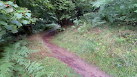 Sam at Bringewood