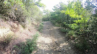 Pausillo freeride