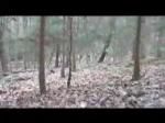 Must Watch Video