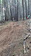 Jumps are more fun with friends