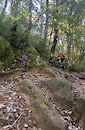 Rock garden