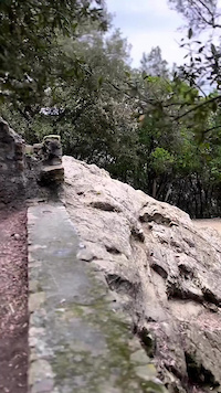 Trail #591