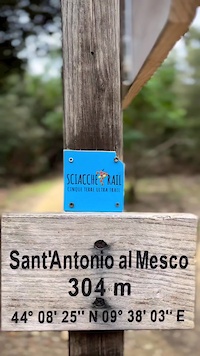 Trail #591