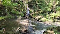 Darling Mills Creek